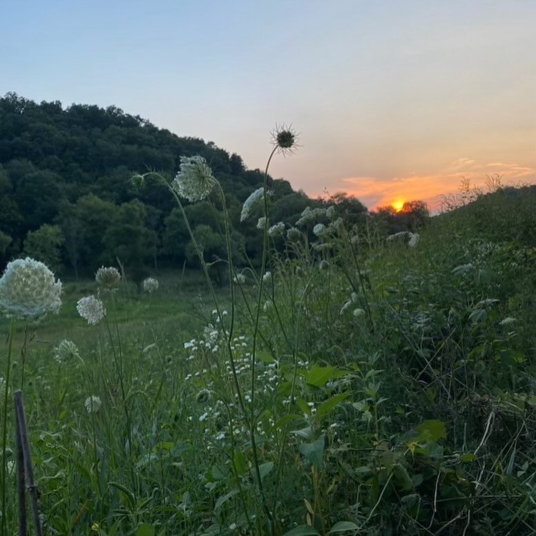 Summer sunset and dawn at Red Clover.

#redcloverranch
#driftless
#retreatcenter
#travelwisconsin
#driftlesswisconsin
#viroqua