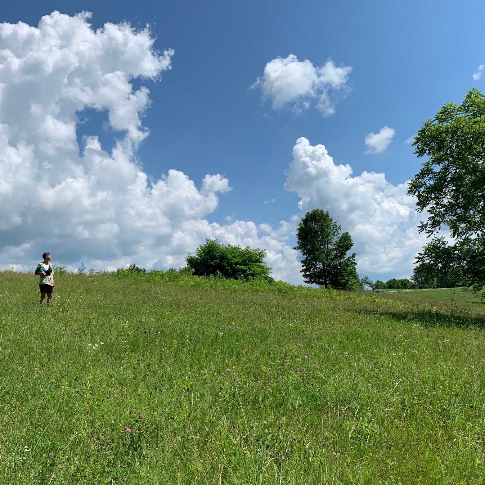 WONDER•ING Retreat with Lindsey Dorr-Niro &amp; Marty McConnell  - SOLD OUT  -- WAITLIST AVAILABLE