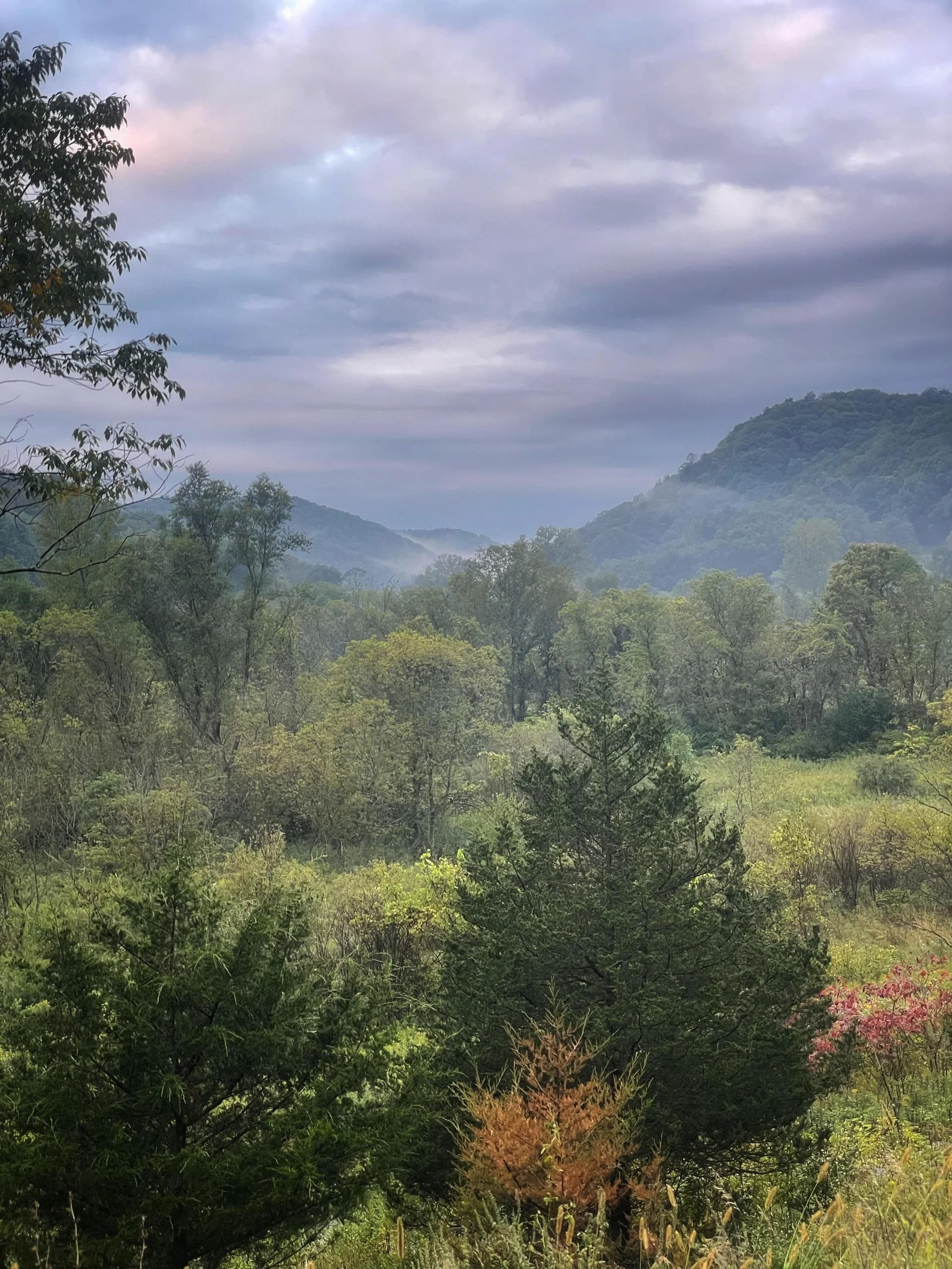 driftless.jpg