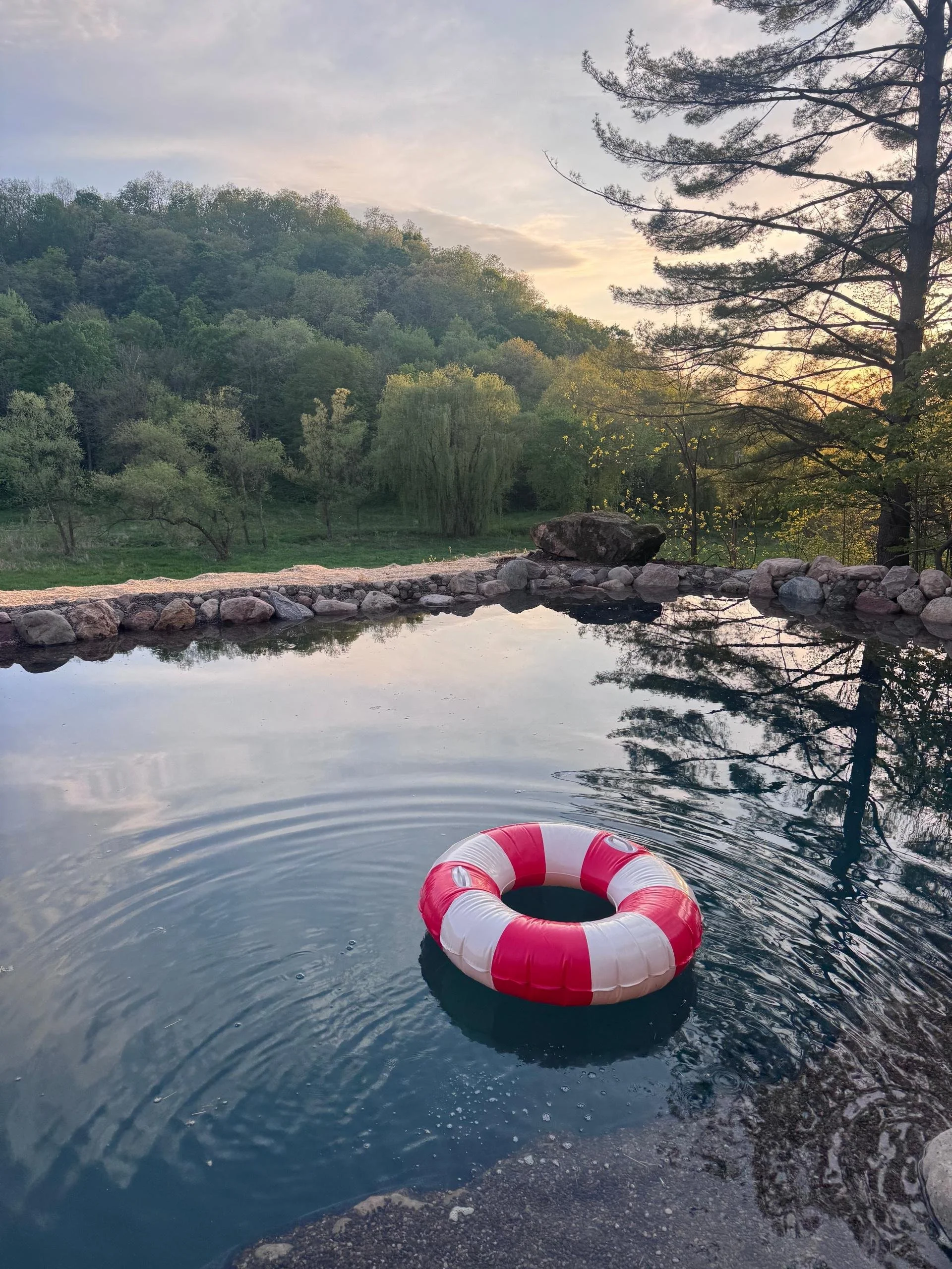 pond.jpg