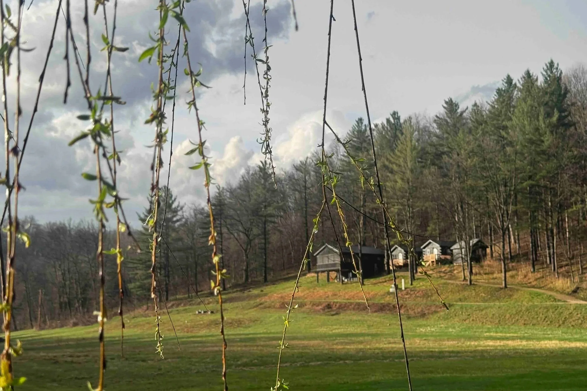 Dispatch from the Ranch: New Retreat Announcements! Olivine Yoga &amp; Spyn-Zen Retreats
