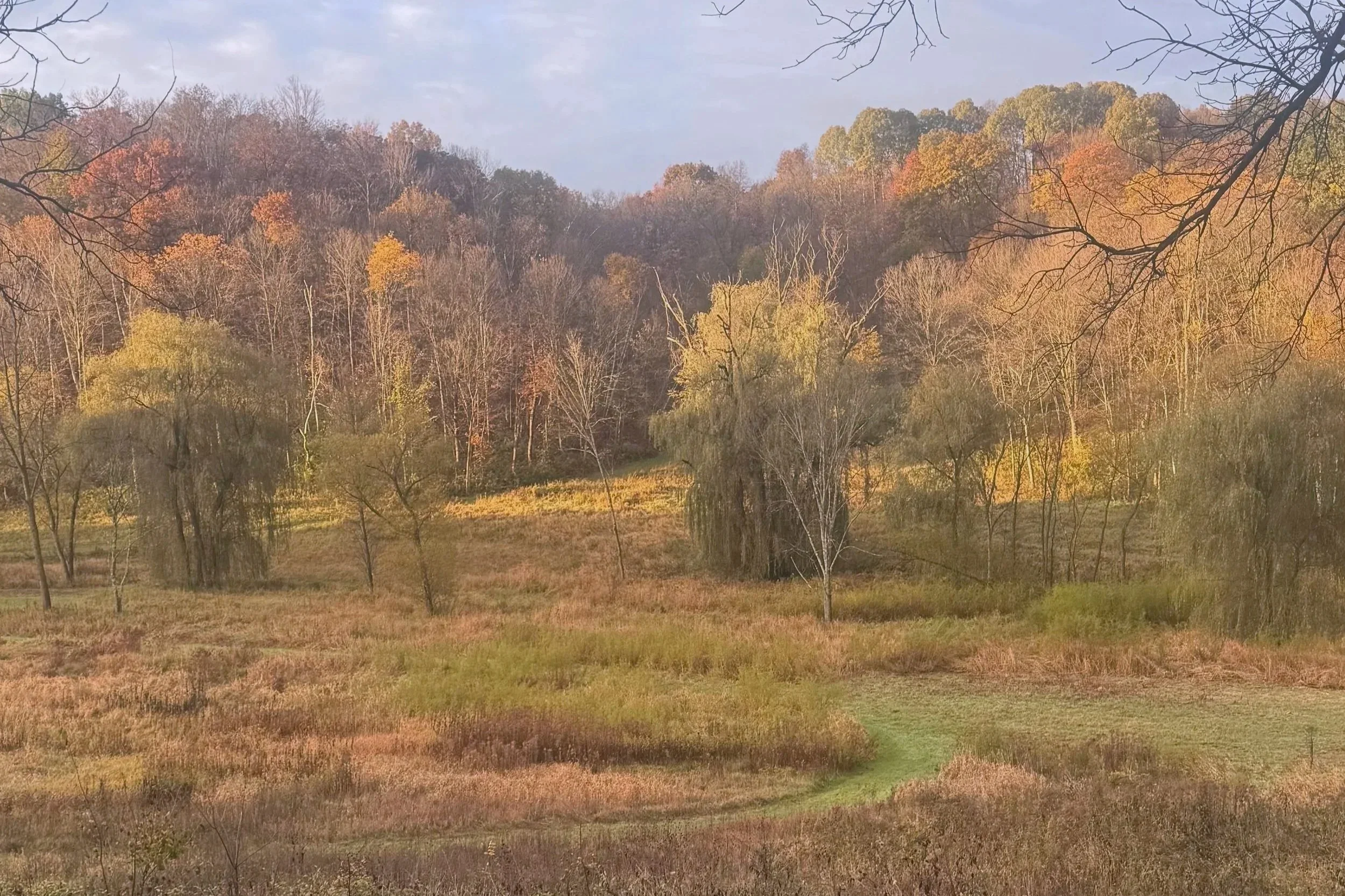 Dispatch from the Ranch: A Fall Thank You + Playlist + 2026 Booking