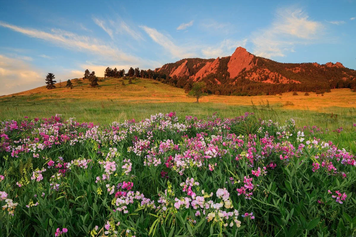 Boulder, Colorado | Open Space & Mountain Parks Department — Lotus ...