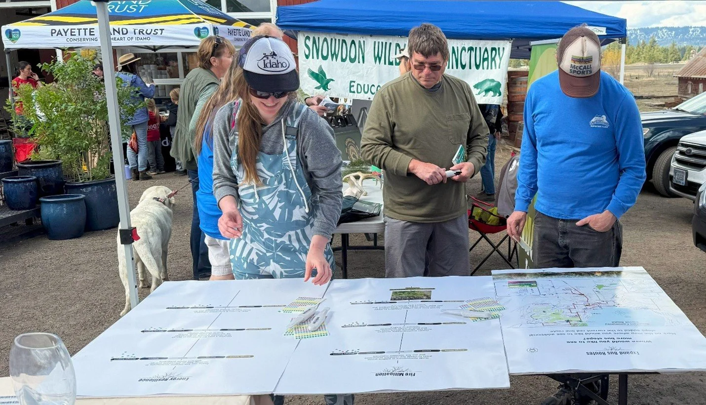 Dot scale voting (1).jpg