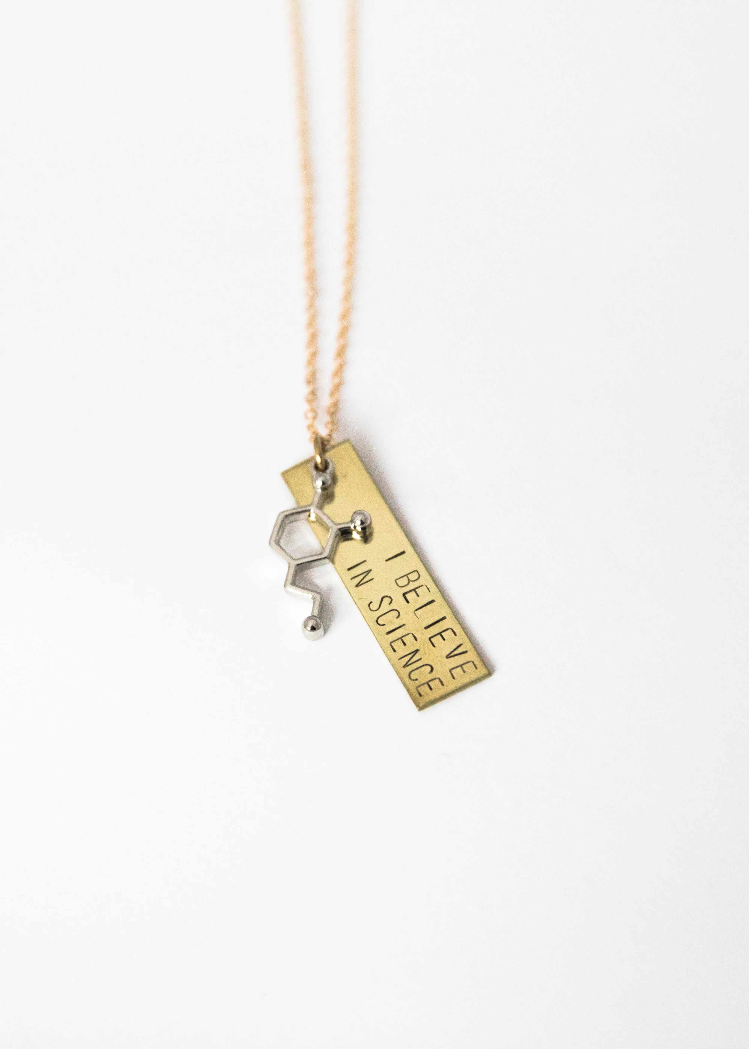 I Believe In Science Necklace with Molecule or Microscope