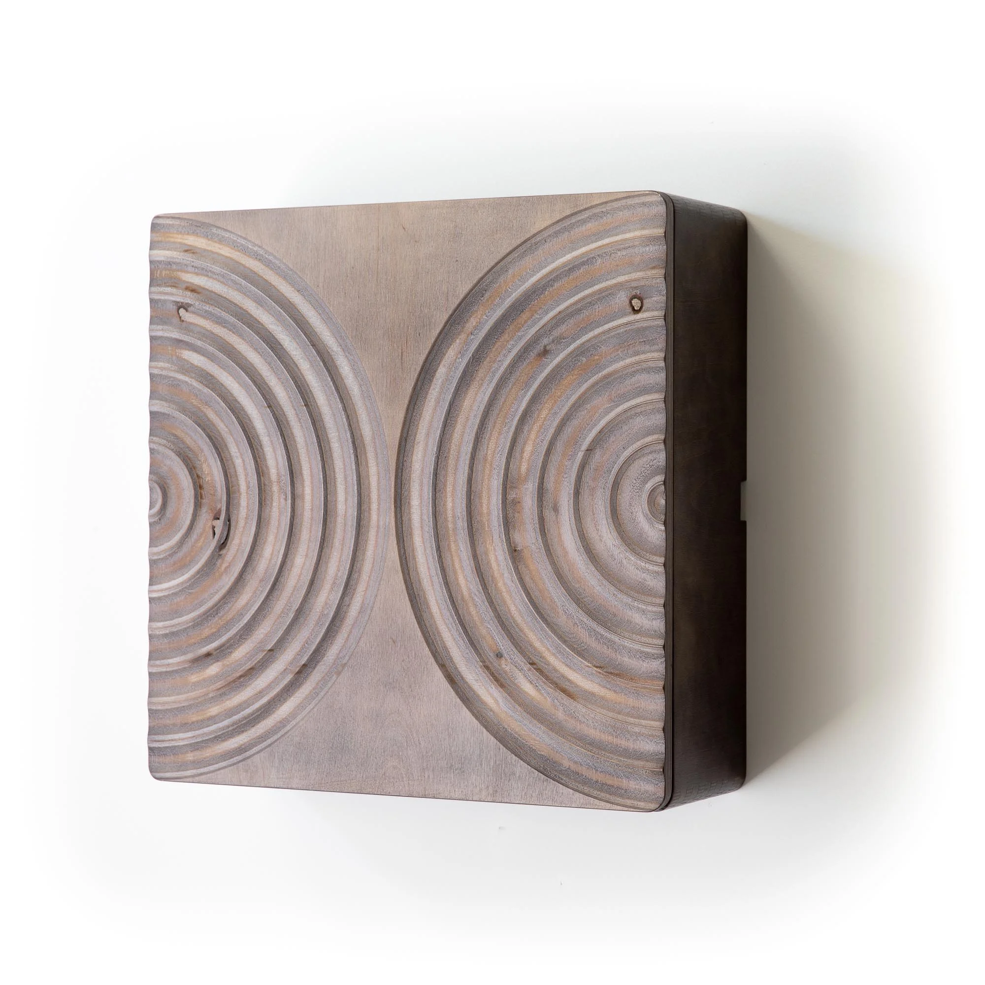 Echo compact wall cabinet