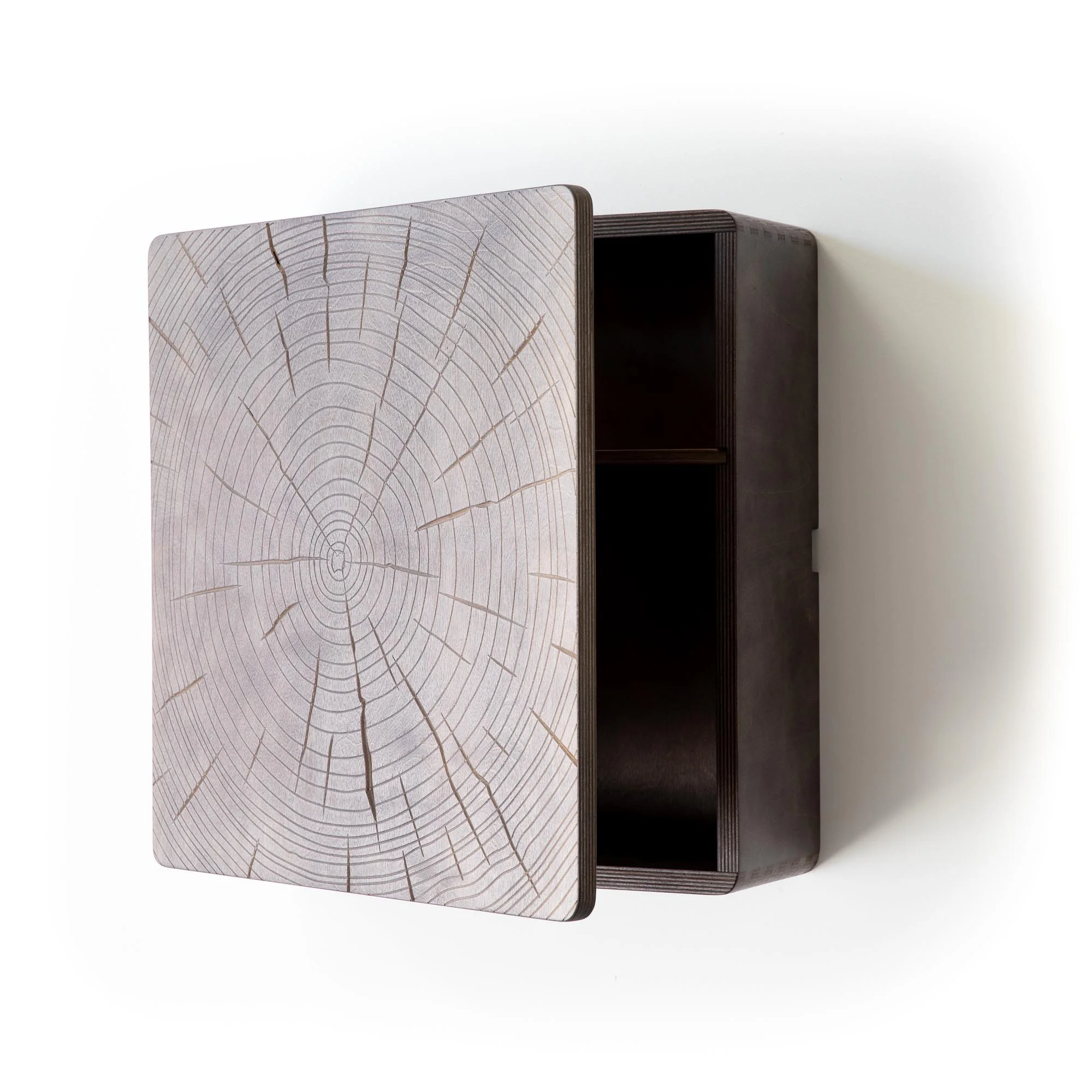 Timber tree ring wall cabinet
