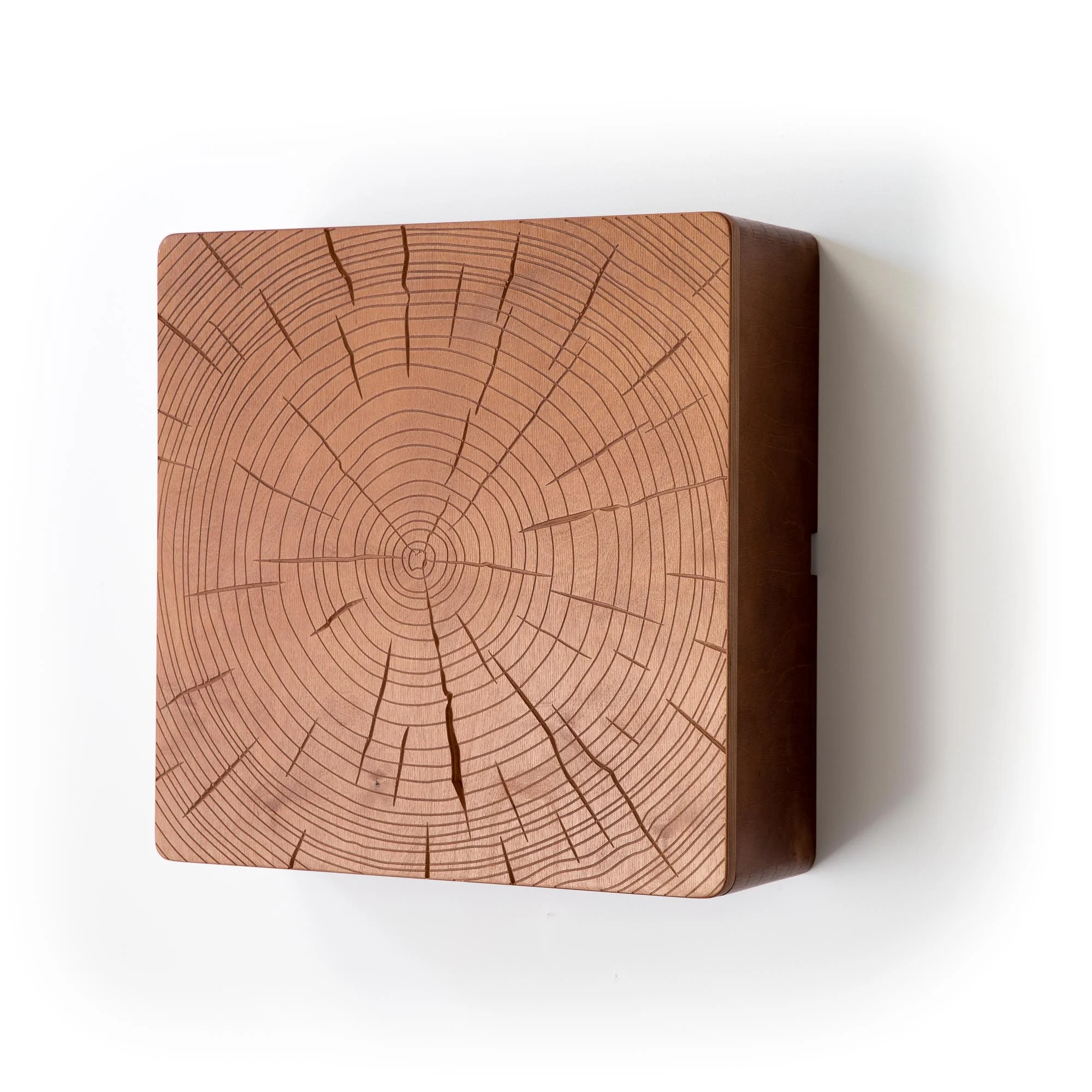 Timber wall-mounted storage container