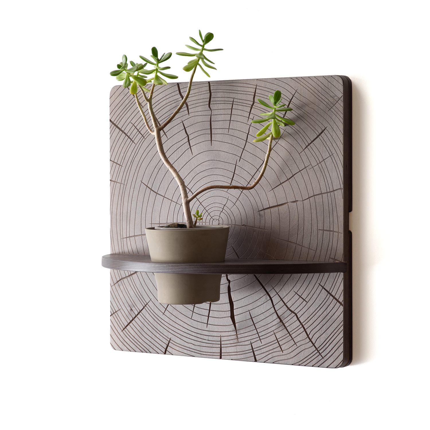 KARVD wall-mounted plant stand