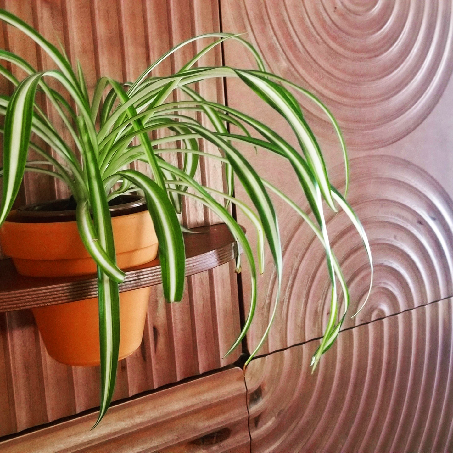 KARVD wall hanging planter panel