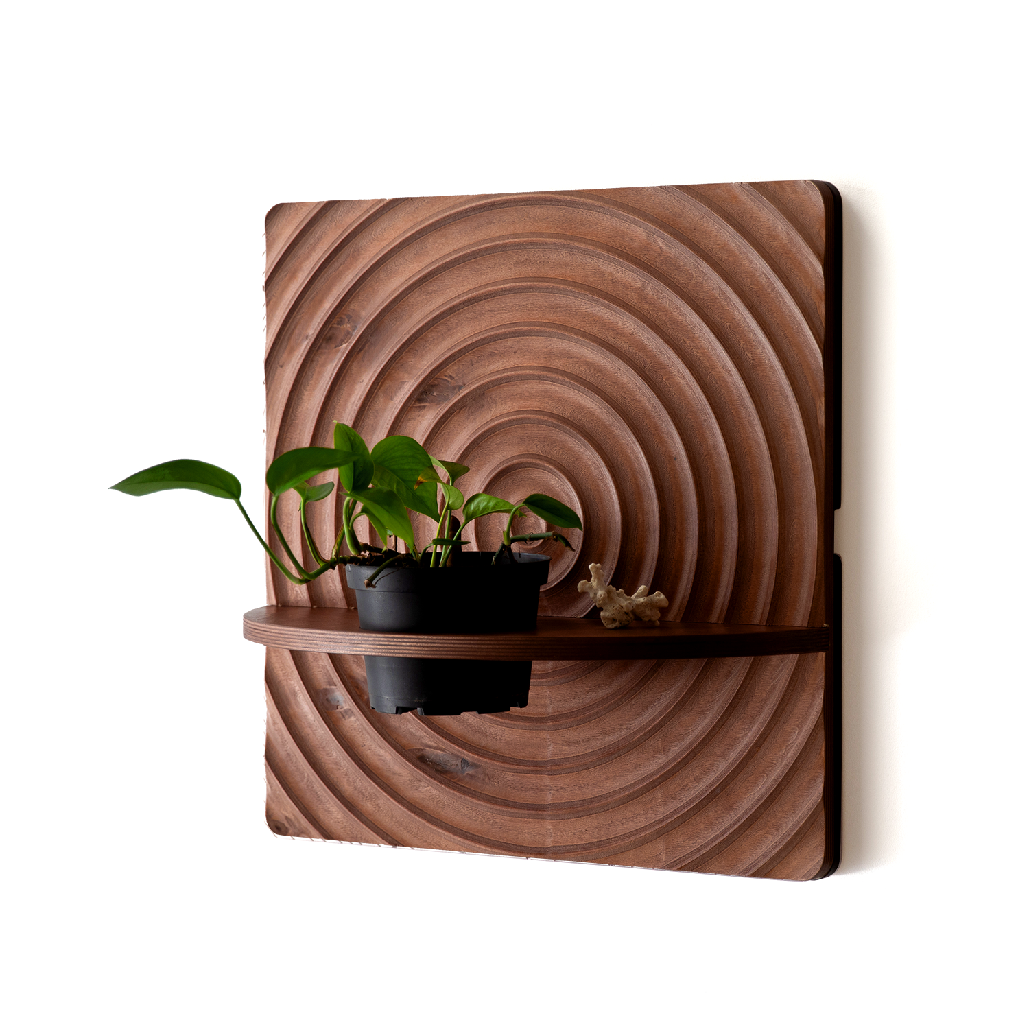 KARVD wall-mounted hanging planter