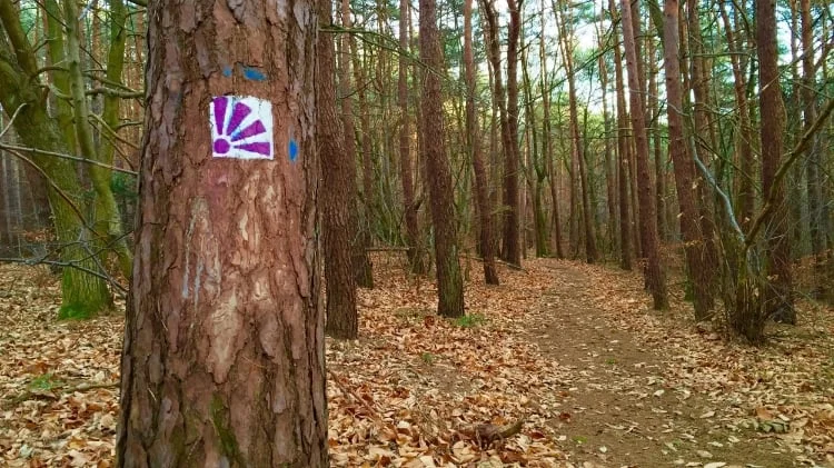 WLAN im Wald ???