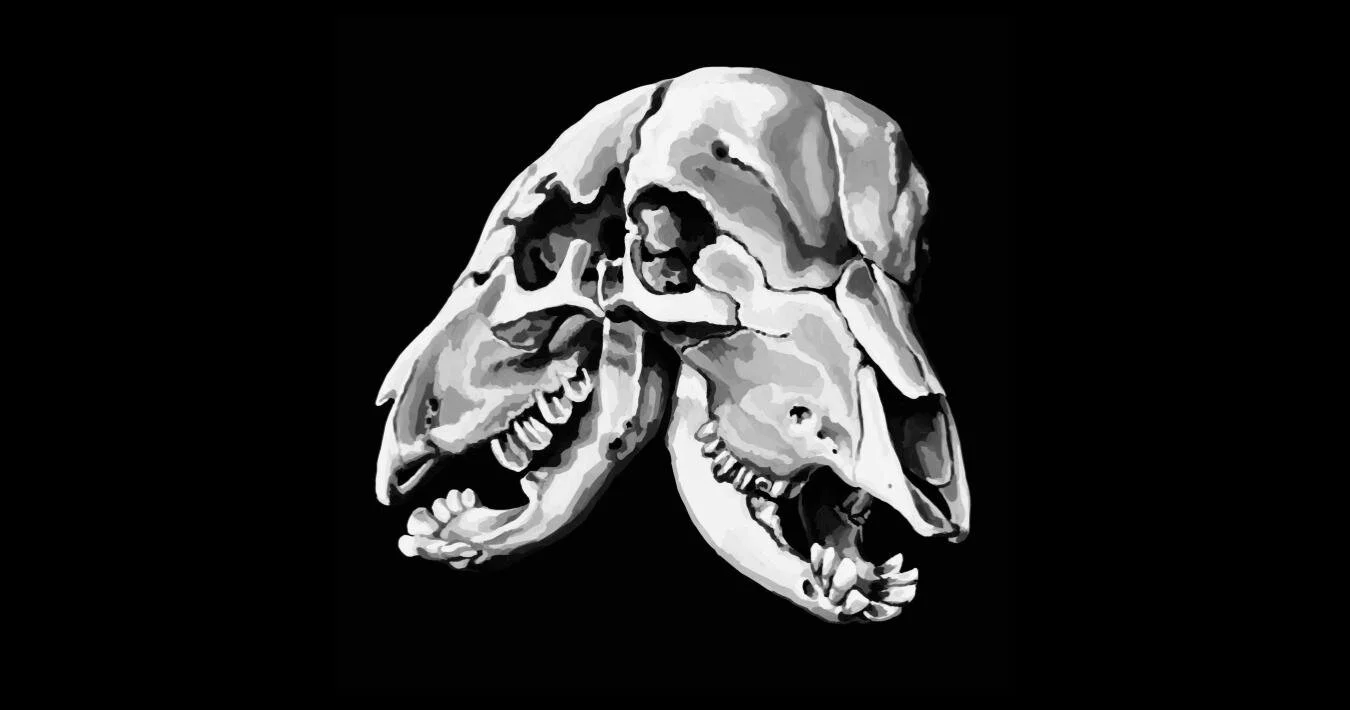 Two Faced (cropped).jpg