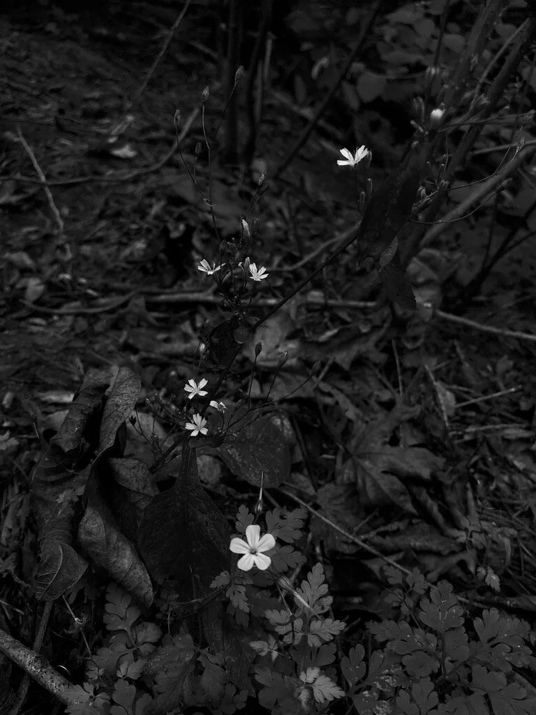 Little Things That Make Life Better