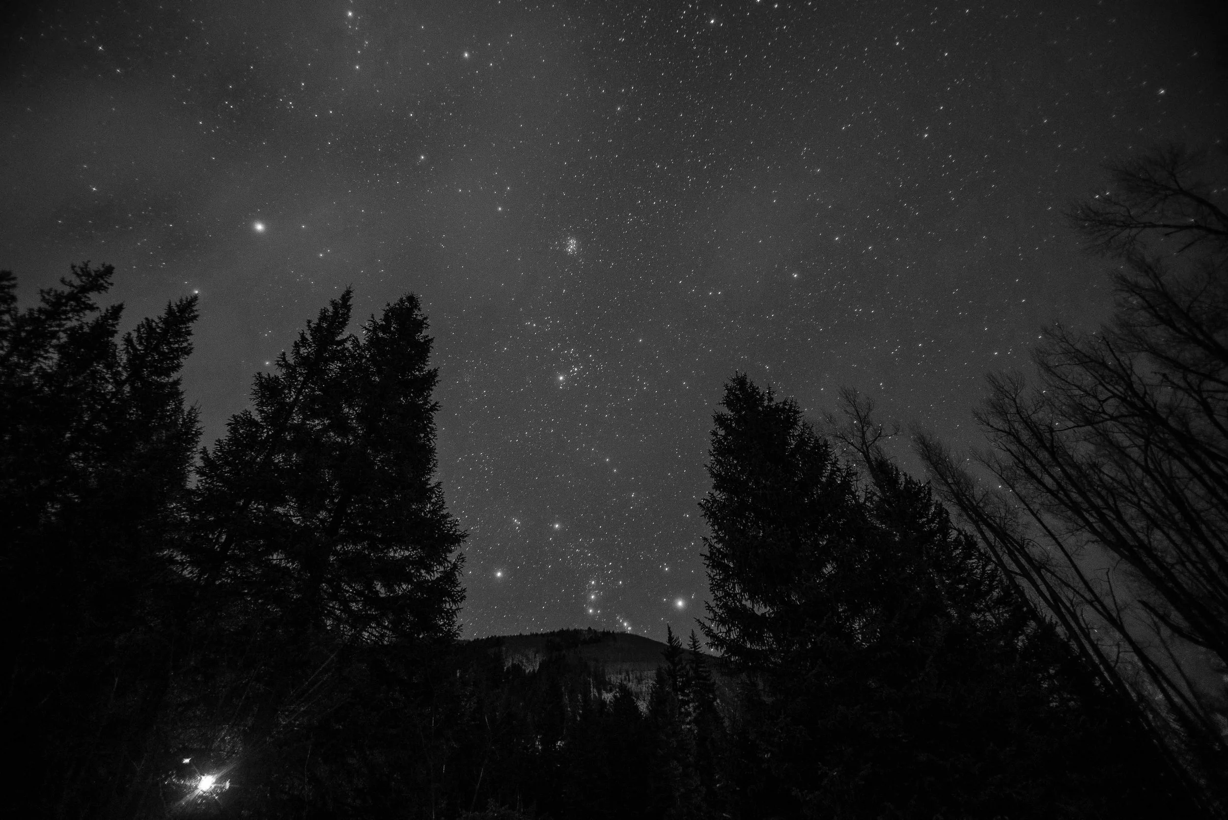 Starry-Orion-Sky-BW.jpg
