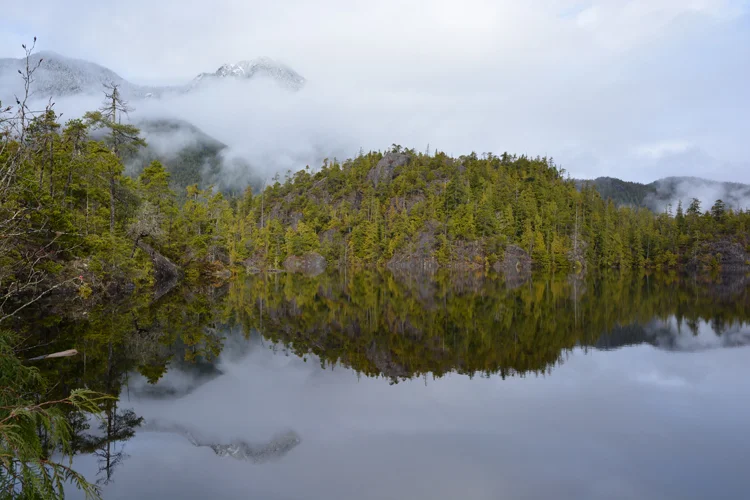 Kennedy Lake reflections