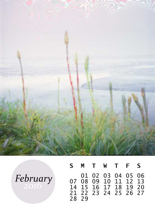  February,&nbsp;from my 2016 mini calendar 