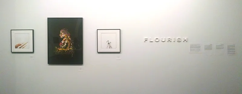 flourish_banner.jpg