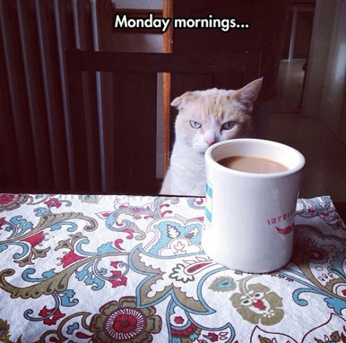 Rise and shine 