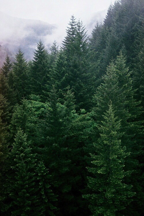 From Tumblr