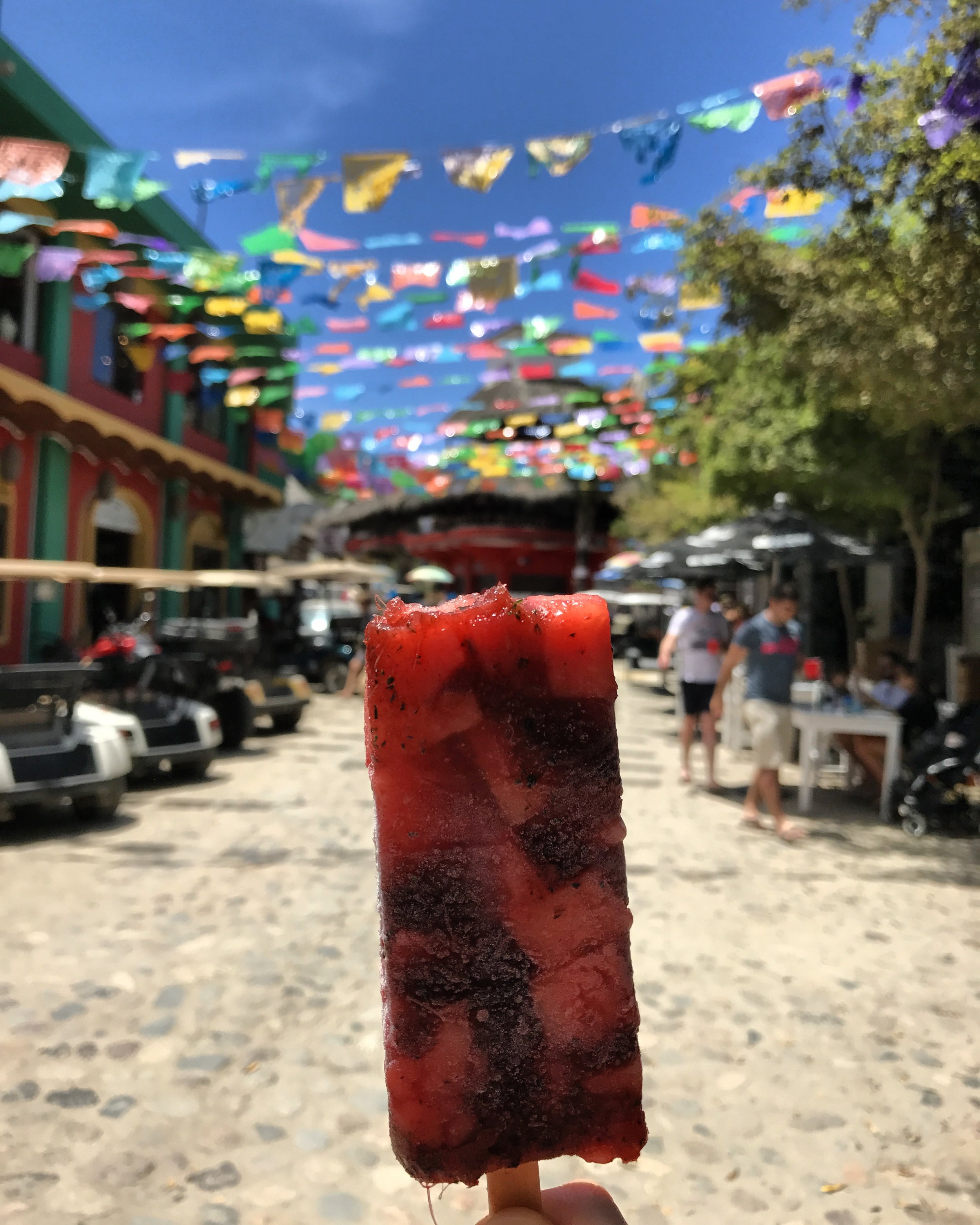  Cilantro Watermelon Popsicle I got in Sayulita :) 