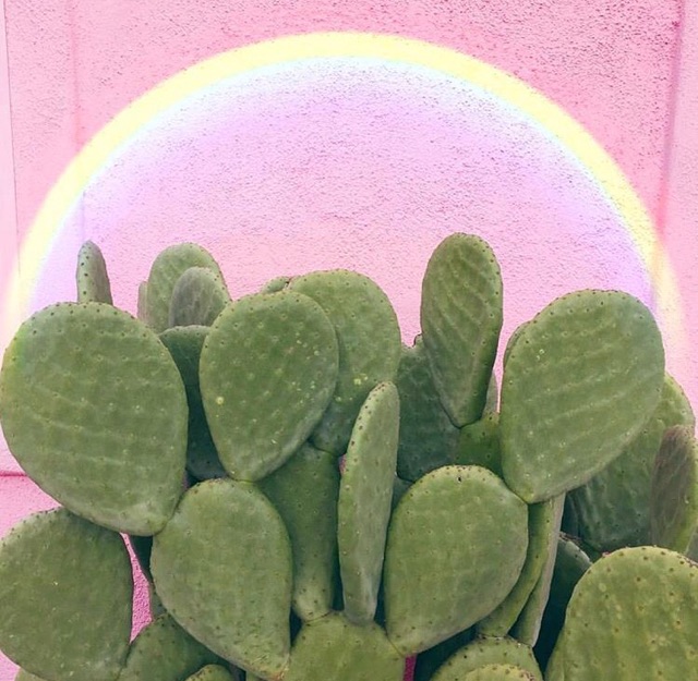 Photo from the @freepeople instagram account. 