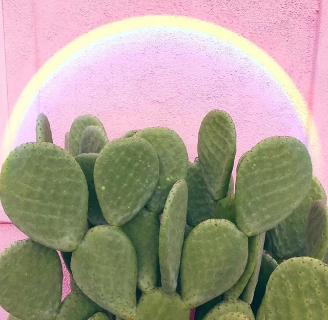 What Can You Create Under the Right Circumstances 