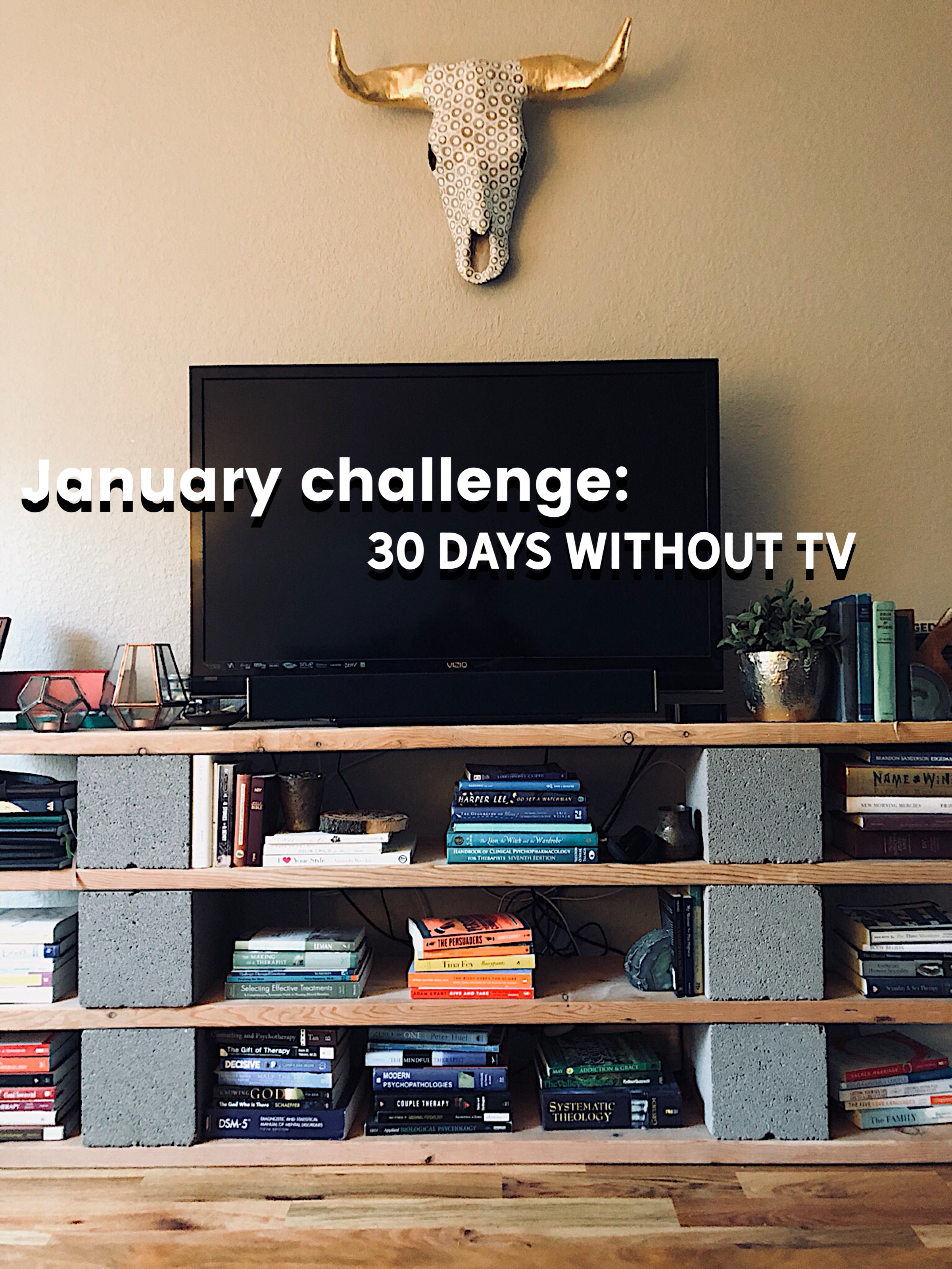 Life Without Netflix (or really any tv or movies)