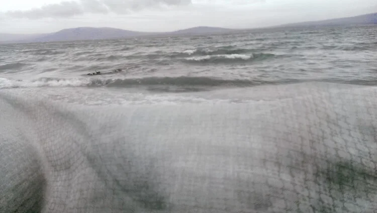At The Edge Of The World: I. Silver Shore