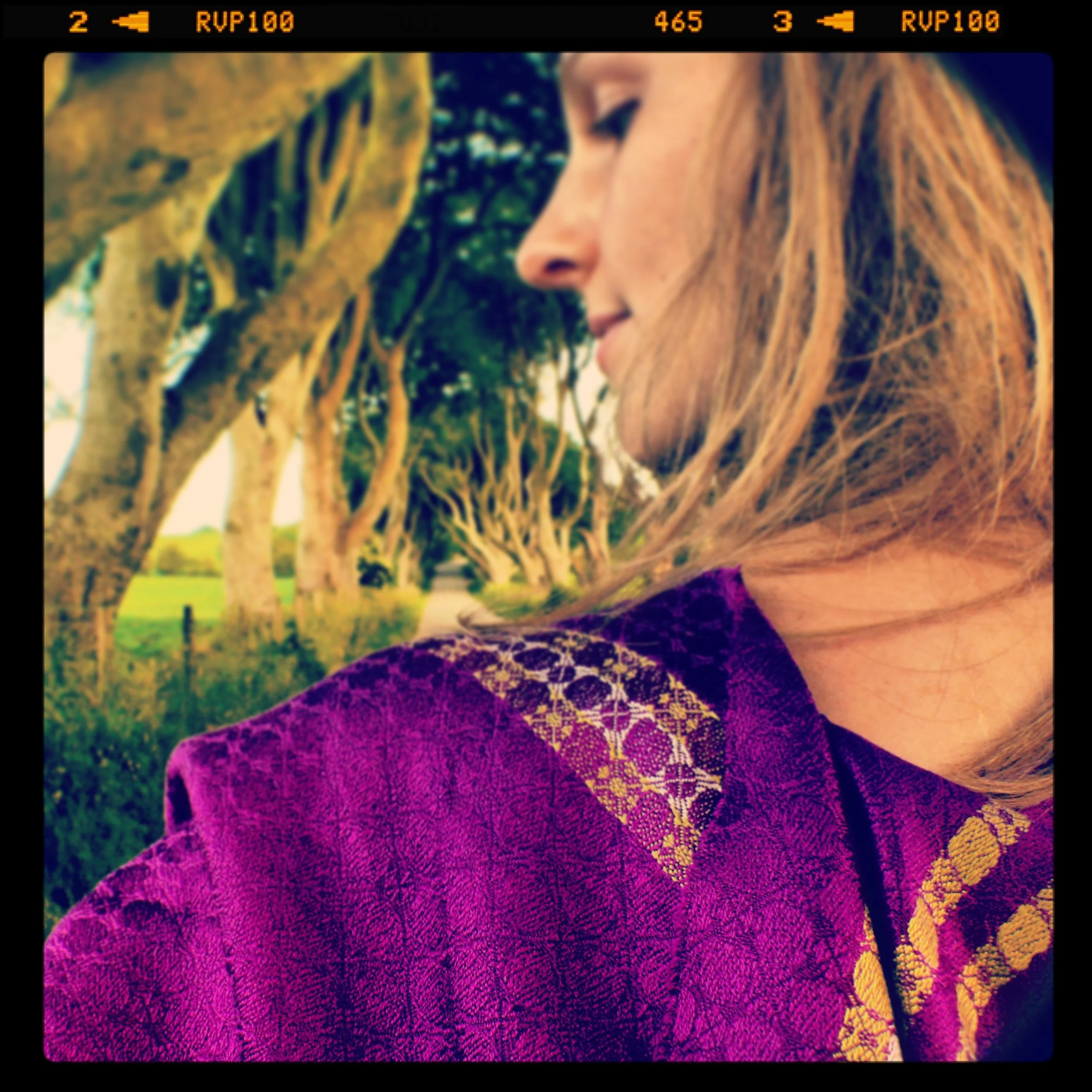 petal-and-stem-magenta-silk-scarf.jpg