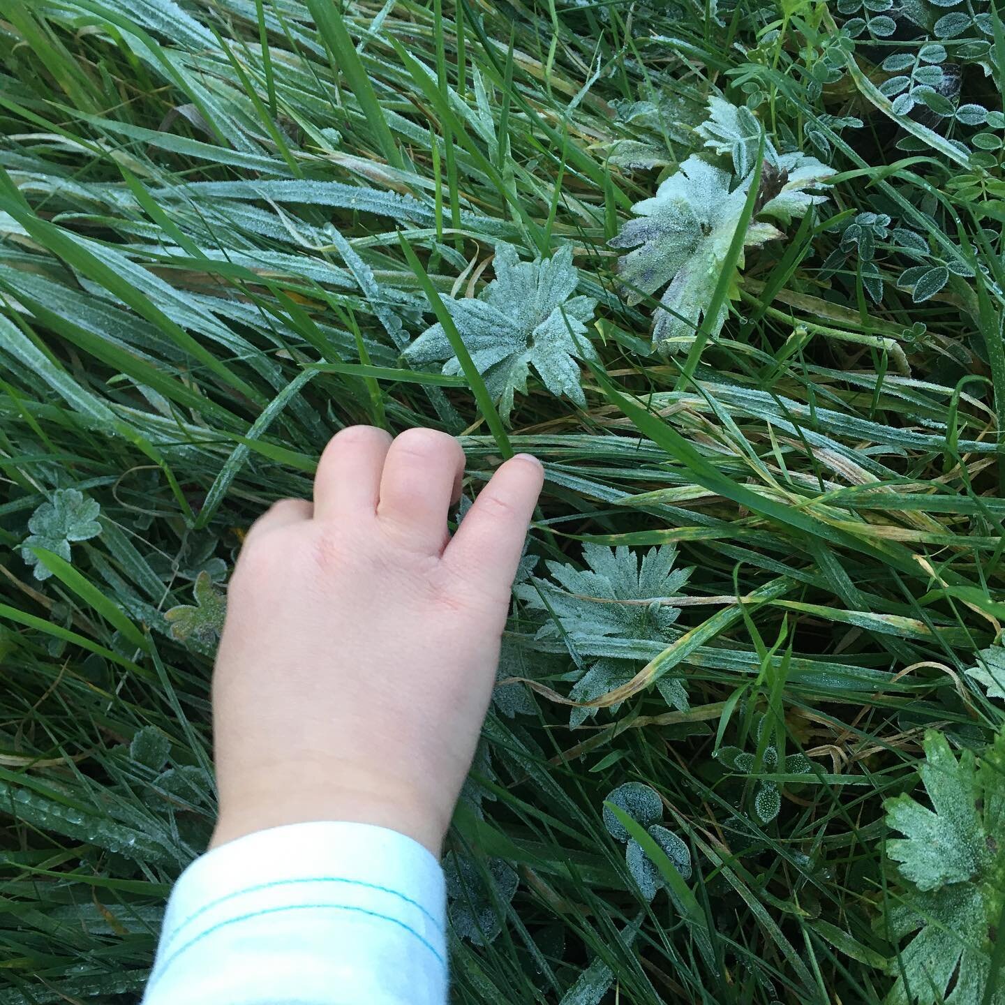 It&rsquo;s getting frosty outside! G is so excited each time it&rsquo;s a tiny bit white in our garden. Have you checked your email for our Christmas calendar surprises? Free embroidered monogramming ends today! -Ali