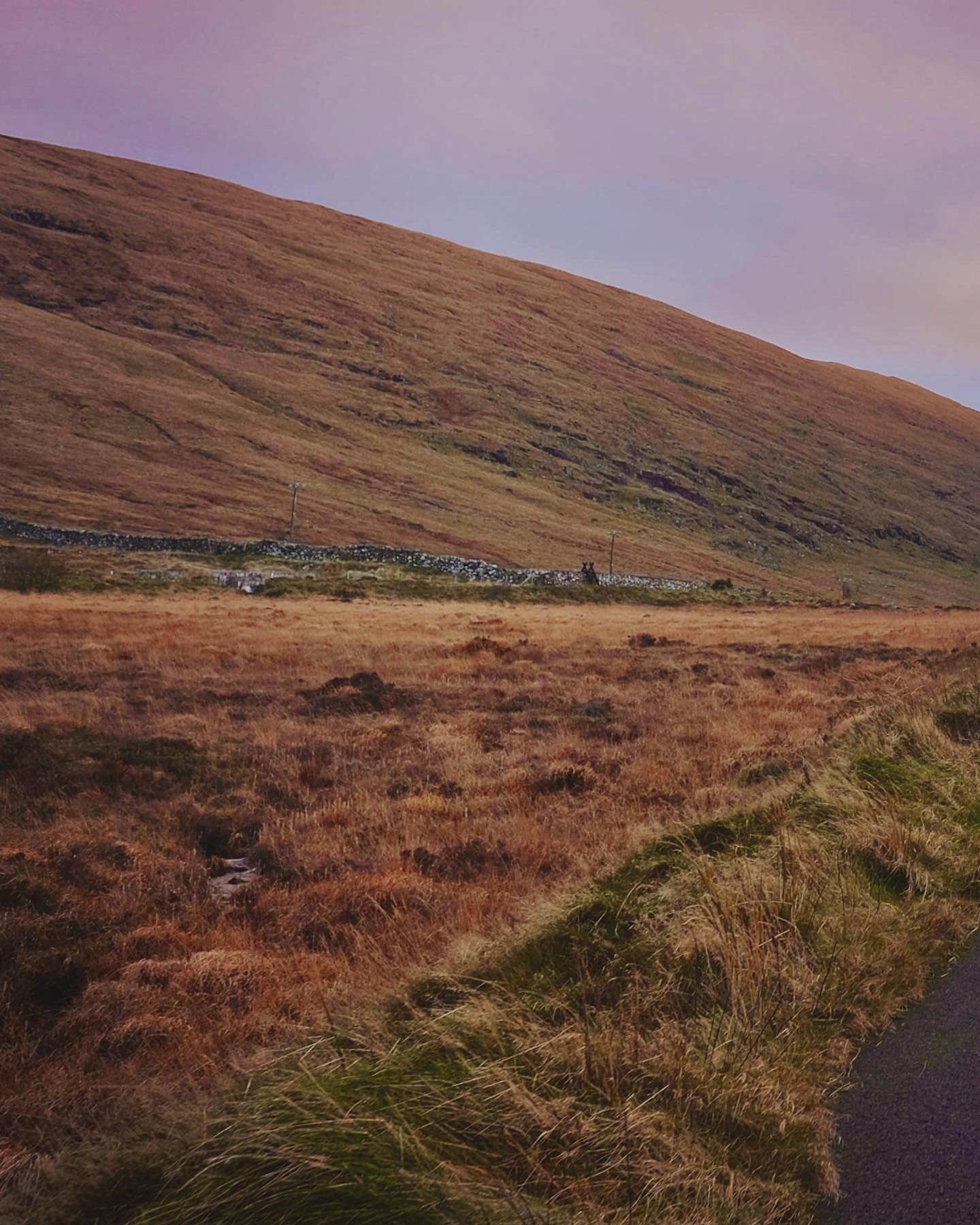 Driving

For some discovery:
#discoverireland #discoverni #ireland #fuji #fujifilm #16mm @discoverni @fujifilmuk #brendanjoseph #xf16f14 #xh1 #xh #fuji_xseries #fujifilm_xseries #fujifilmxh1 #fujifilm_xh1 @connscameras @fujifilm_ireland @tourismirela