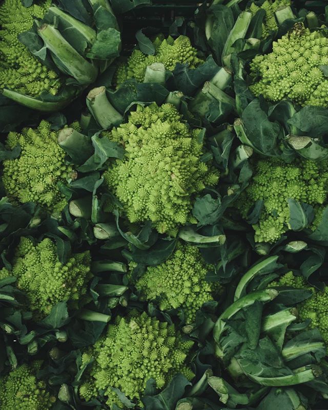 Cud natury, którym nigdy nie przestanę się podniecać #romanesco #fraktal #piekne #almøstre #ommangsøndre