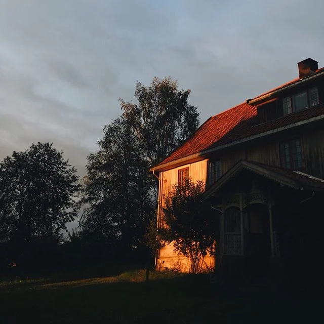 Słońce zachodzi już prawie trzy godziny wcześniej niż kiedy po raz pierwszy postawiliśmy w Norwegii stopy (i łapy). Maliny moroszki doścignęły je właśnie kolorem 🧡 #mølte #złotagodzina #moroszka #ciepło #domek #chybaidziejesień