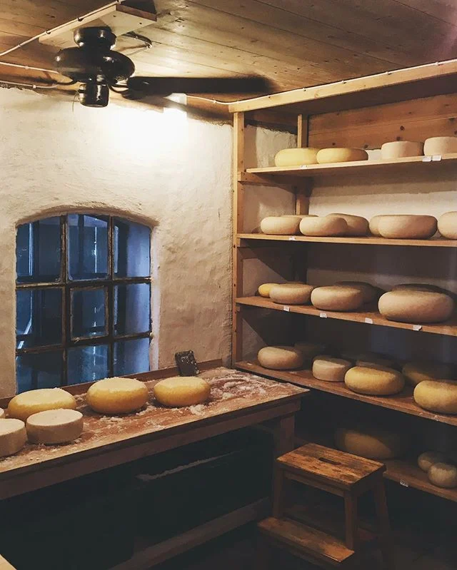 Stanowiska pracy 🐐✨🐄
#cheesehouse #czyli #domsera #norskost #geitost #gårdsost #recznierobione #pycha #ser