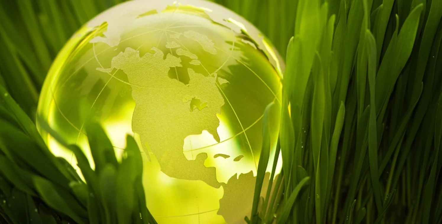 greenglobe[1].jpg