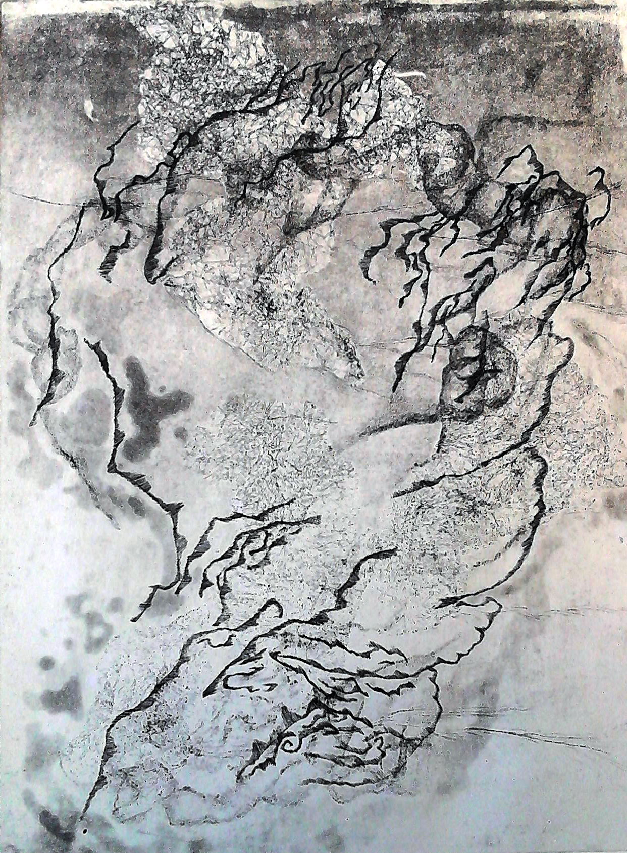 "Drawing An Organic Experience" by Sofia Villena Araya