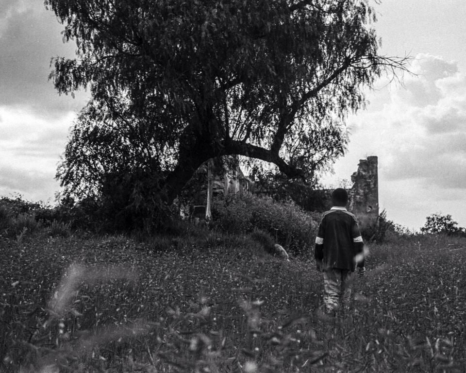 "What Lies There: Tierra de Ocotes (1)" by Franco Aguilar
