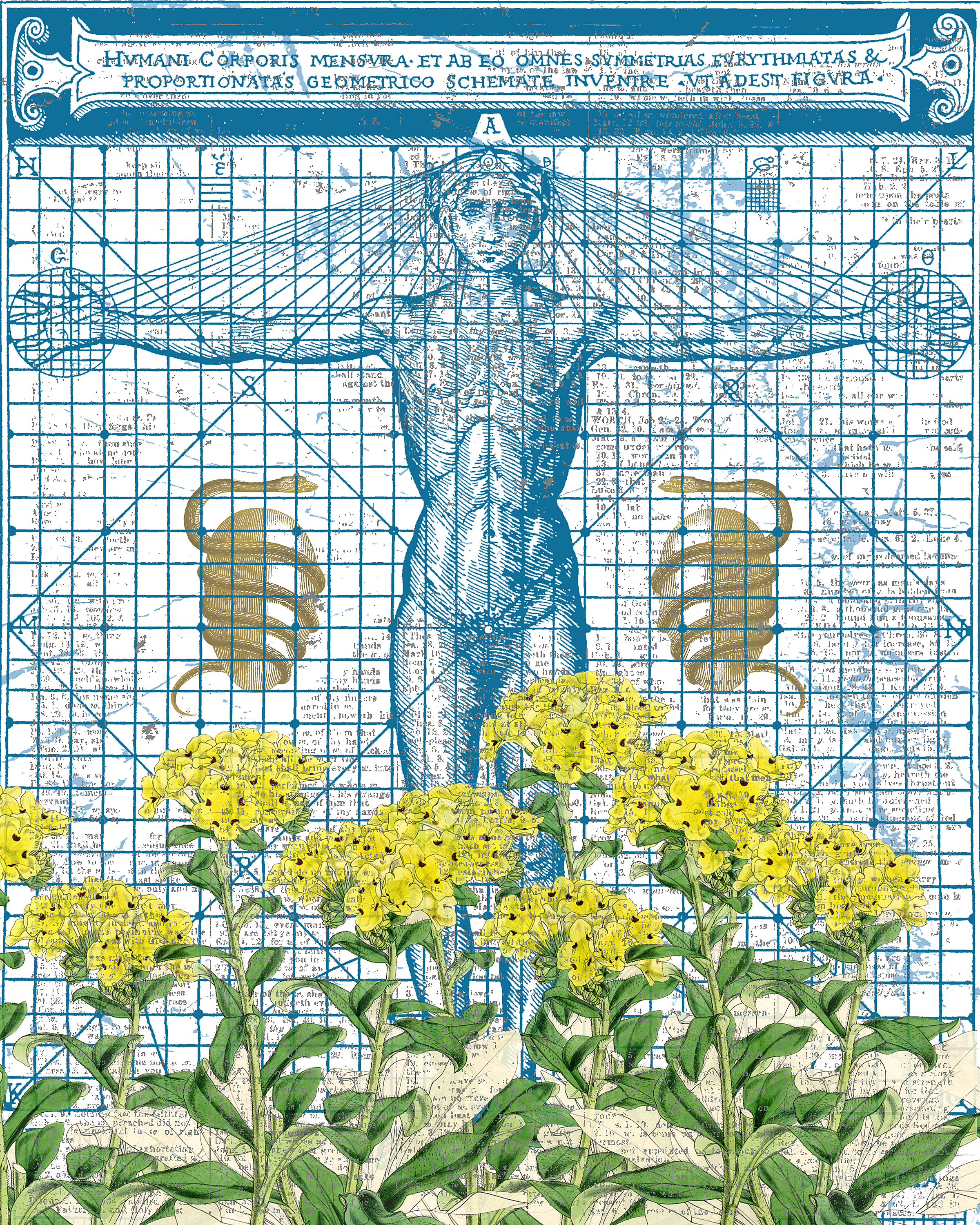 alchemical_man_art.png