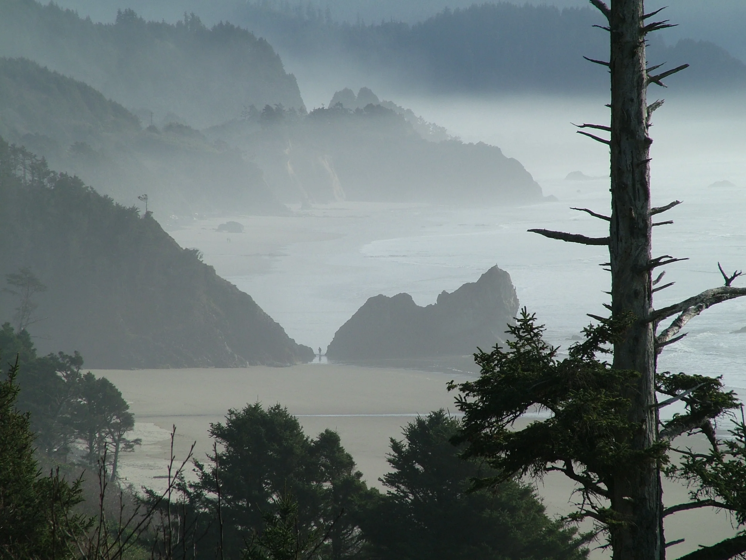 Oregon Coastline 1.JPG