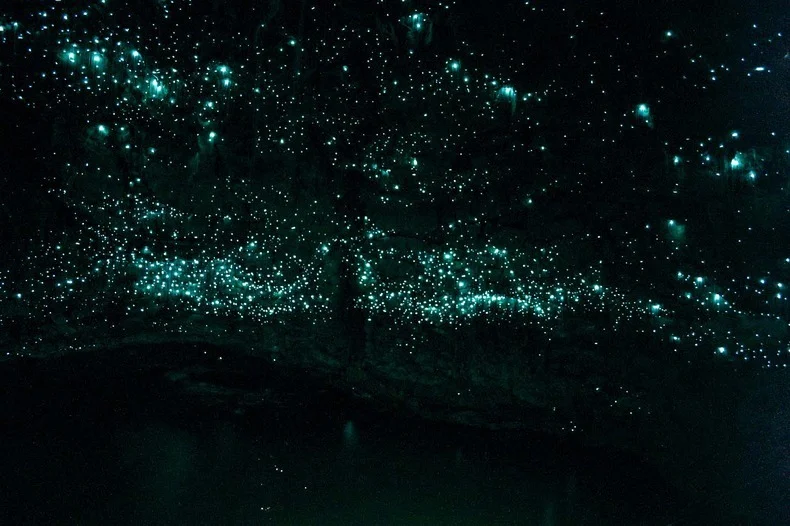 How it looked when we all turned off our head lamps. Source
