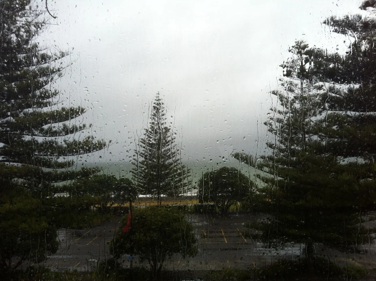 View from my window as Cyclone Lusi hits Hawkes Bay.