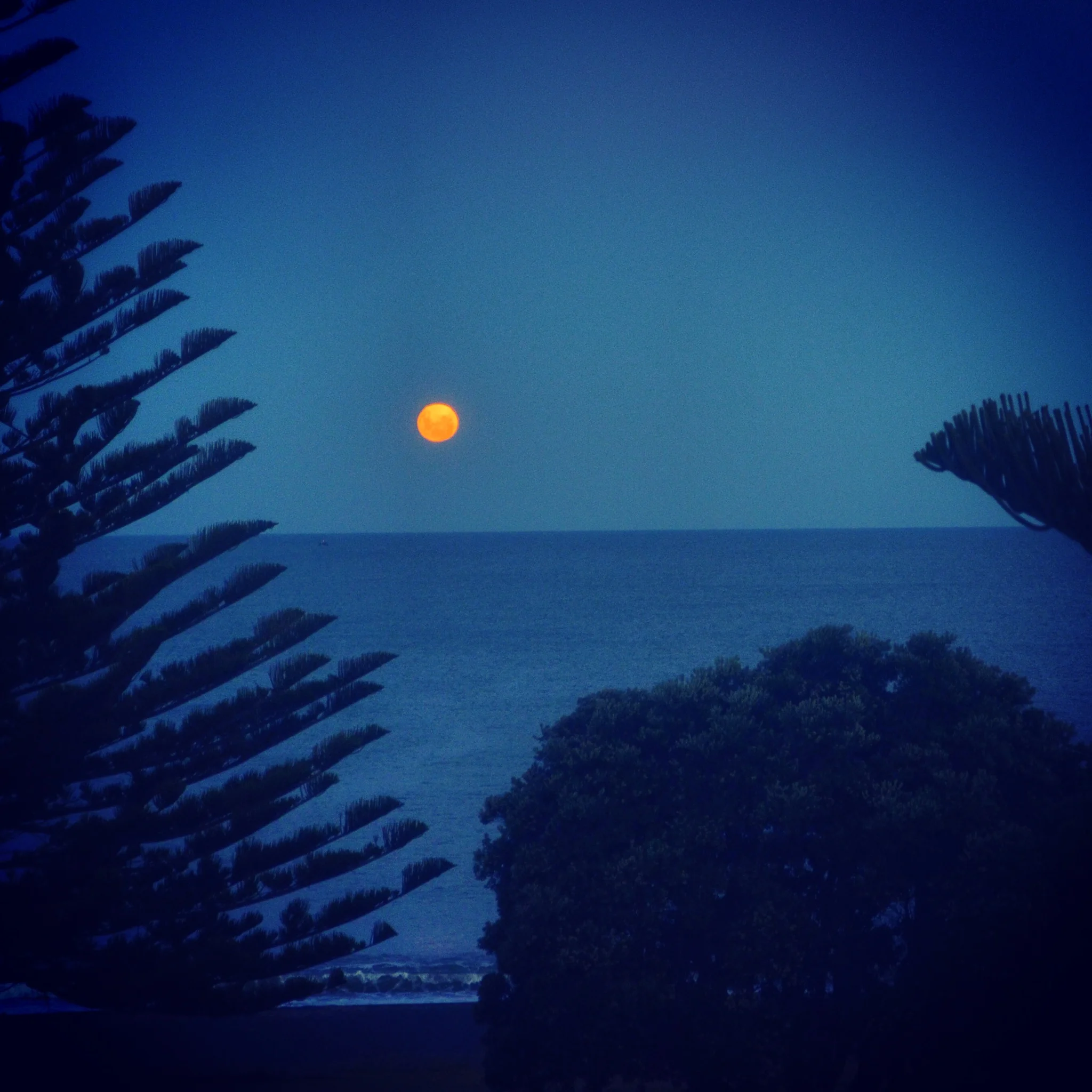 View from my bedroom Monday night: Moon rising over the Pacific Ocean in Napier, New Zealand.