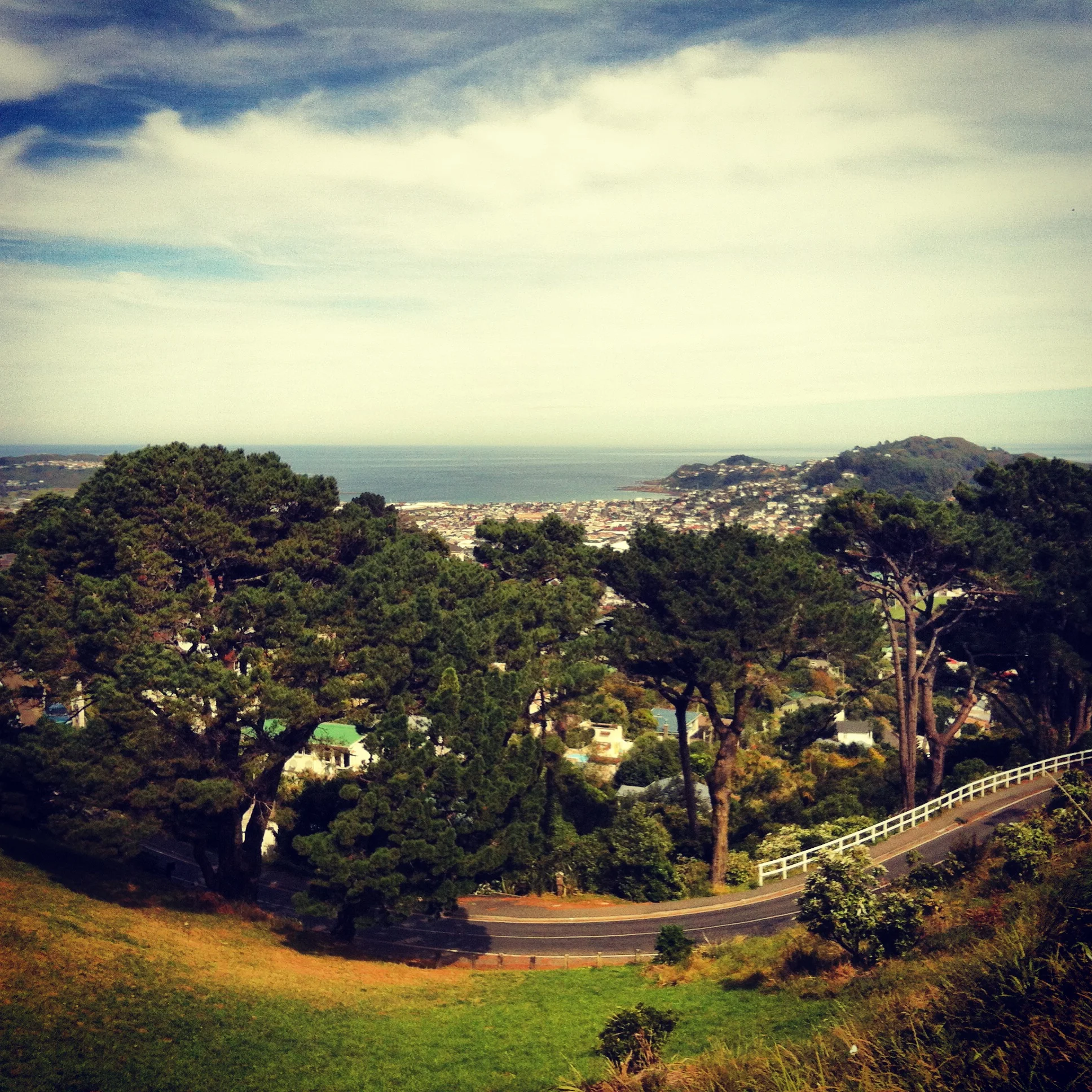 This curvy road at the top of Mt. Victoria almost created the illusion of a fish eye lens.