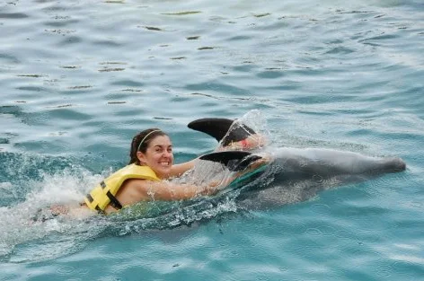 Exhibit A: The "dolphin face"