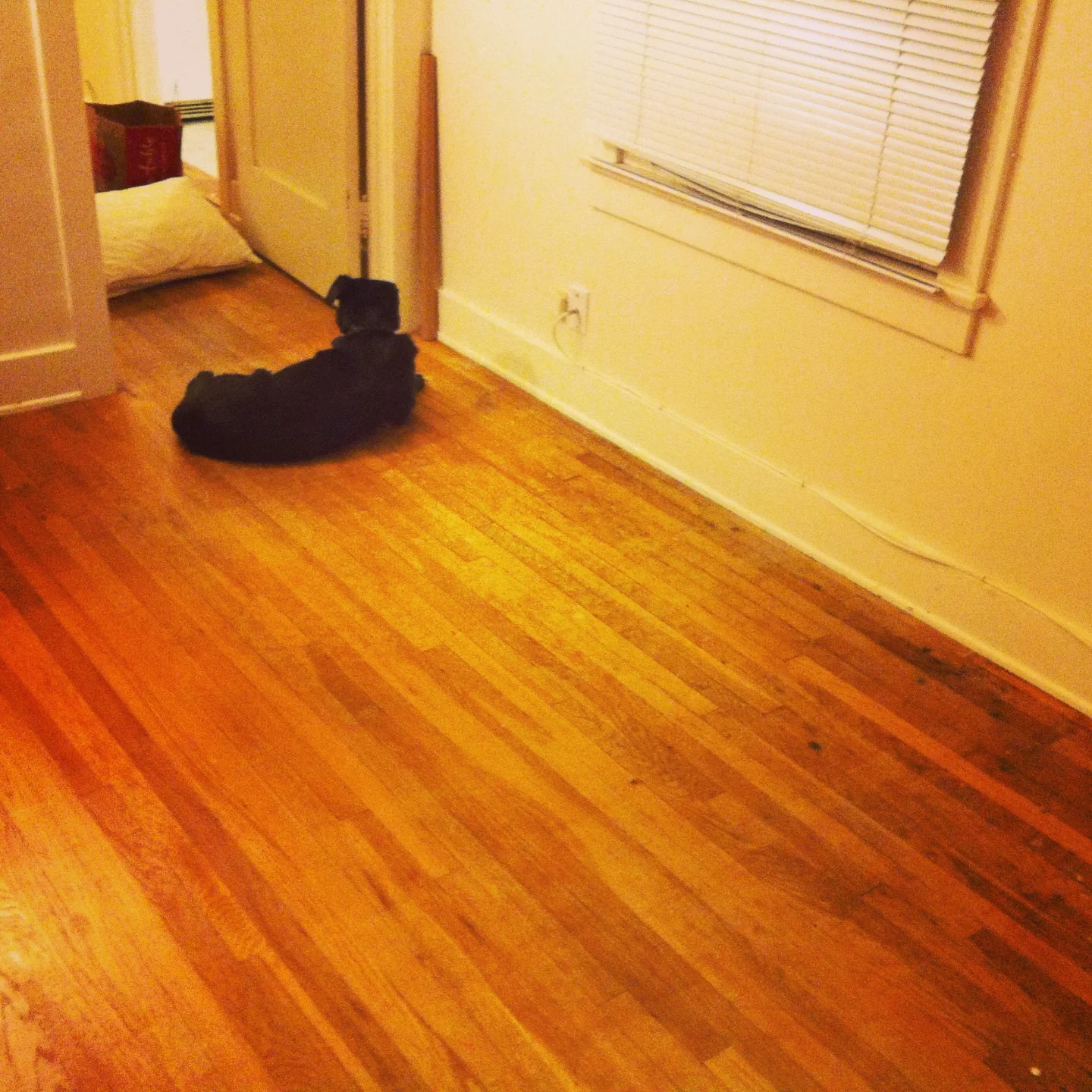 So sad seeing my empty bedroom in San Diego.