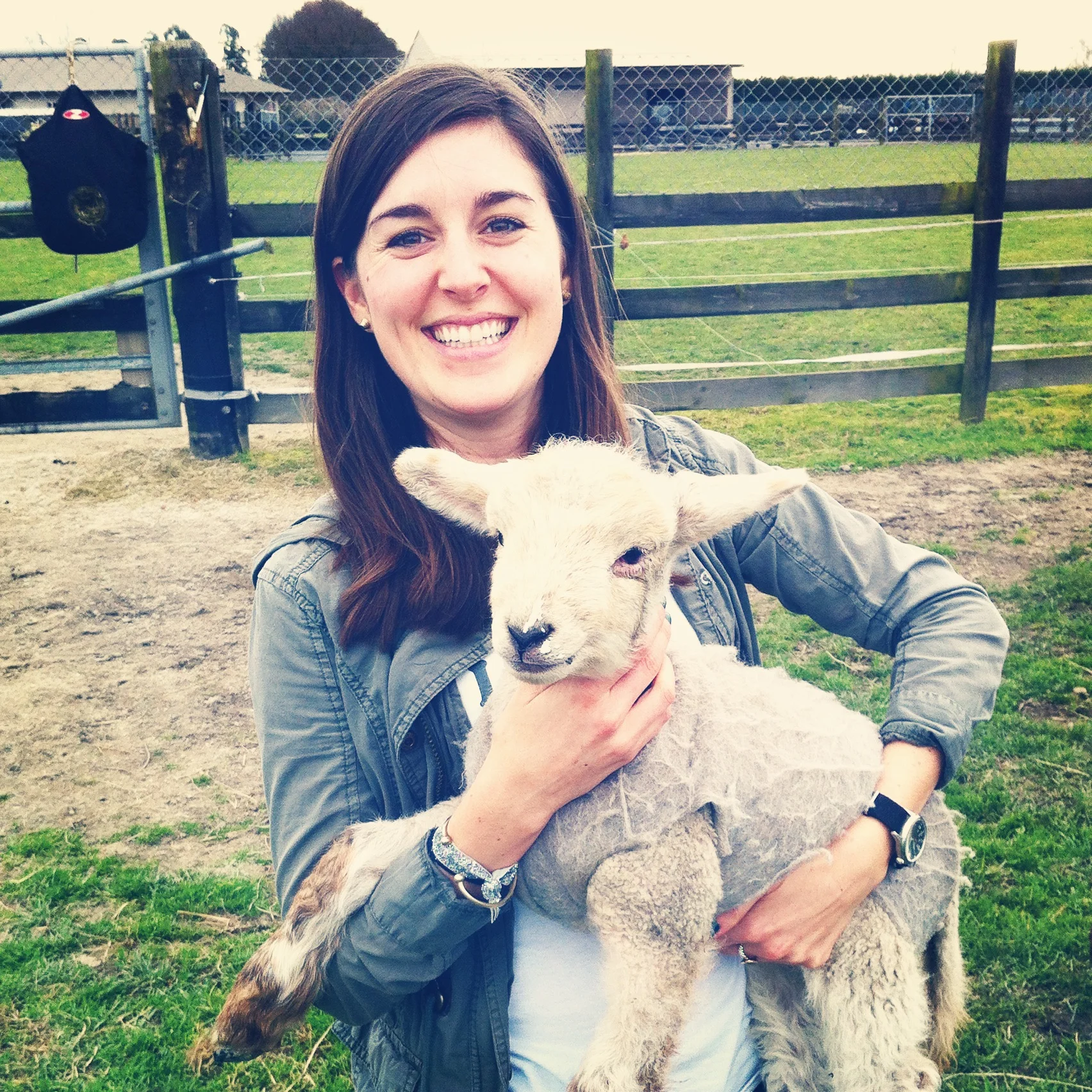 After months of 'sheep stalking' and admiring all of the spring lambs around Hawke's Bay, I finally got the opportunity to hold and feed a little lamb when my friend Charlotte invited Joe and me to see her neighbor's new lambs. They're just too cute!