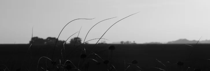 IMG_6387.JPG