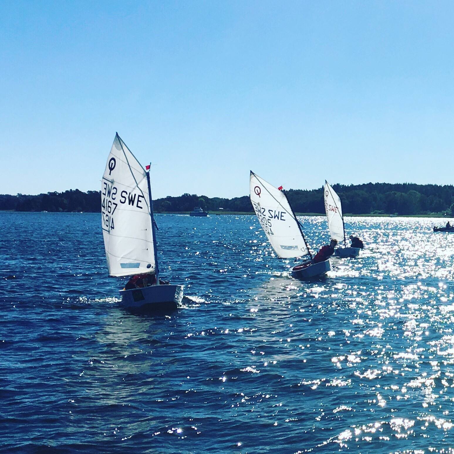 Vacker höstsegling!