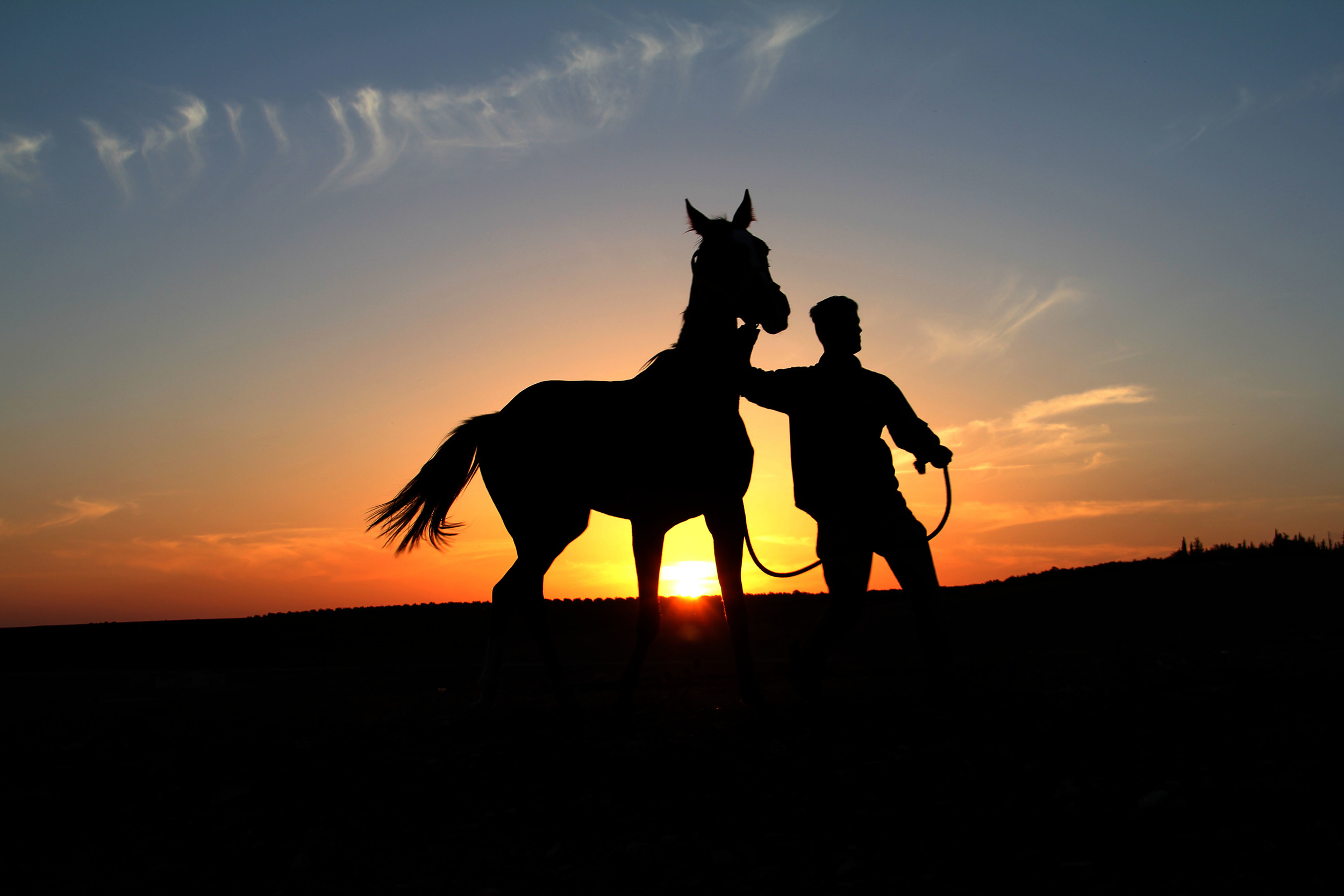 3.11.13 A boy and a horse.JPG